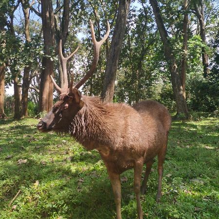 Wild Window - Forest View Homestay Thekkady Exterior photo
