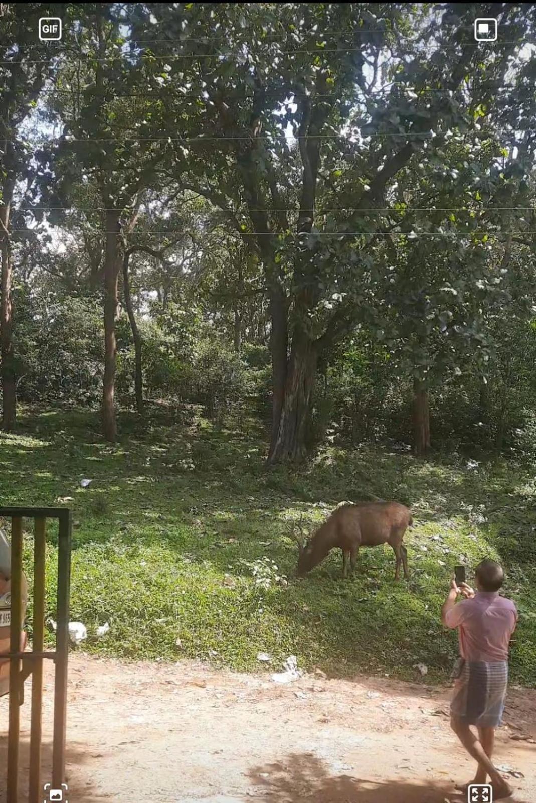 Wild Window - Forest View Homestay Thekkady Exterior photo