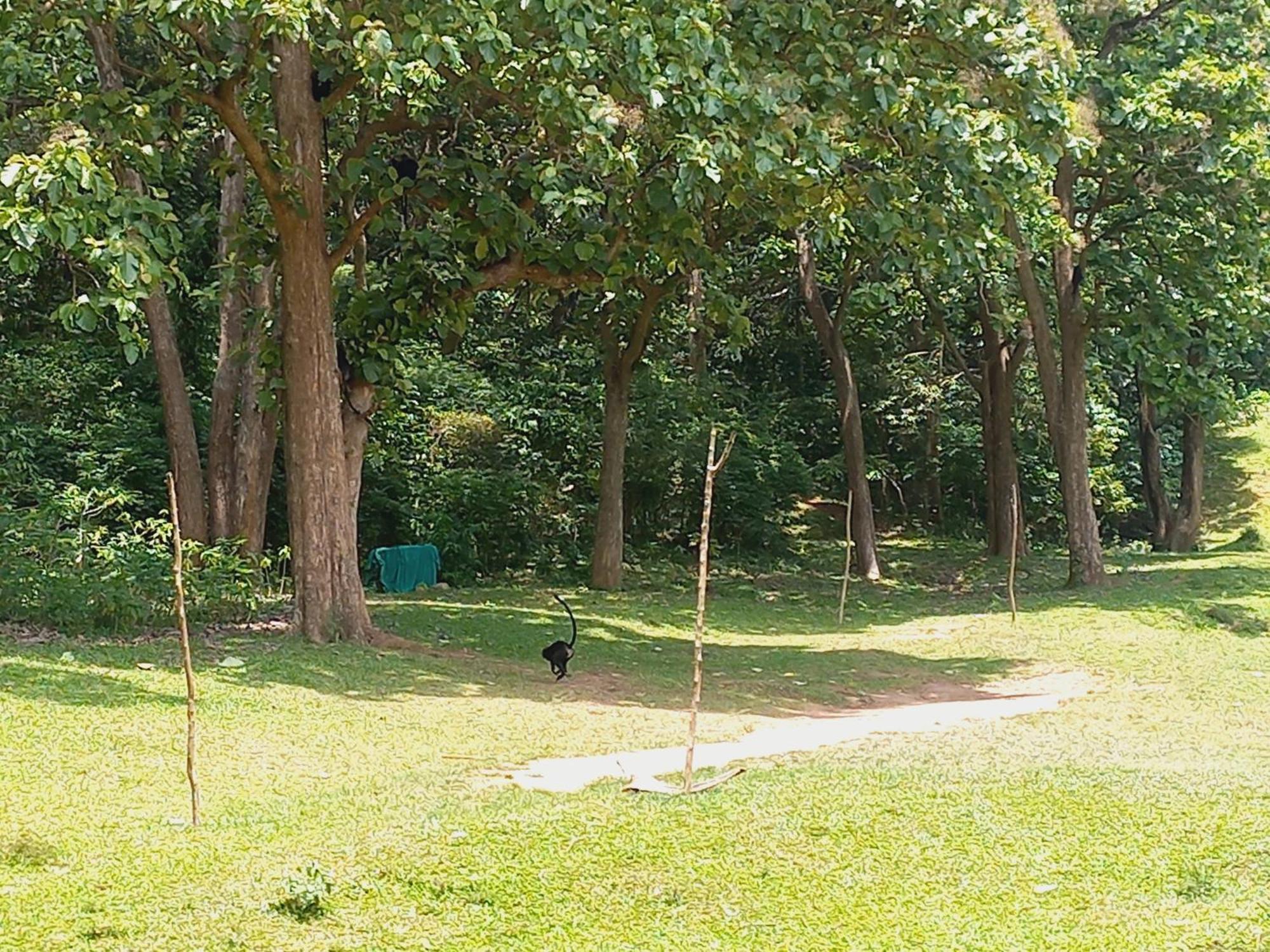 Wild Window - Forest View Homestay Thekkady Exterior photo