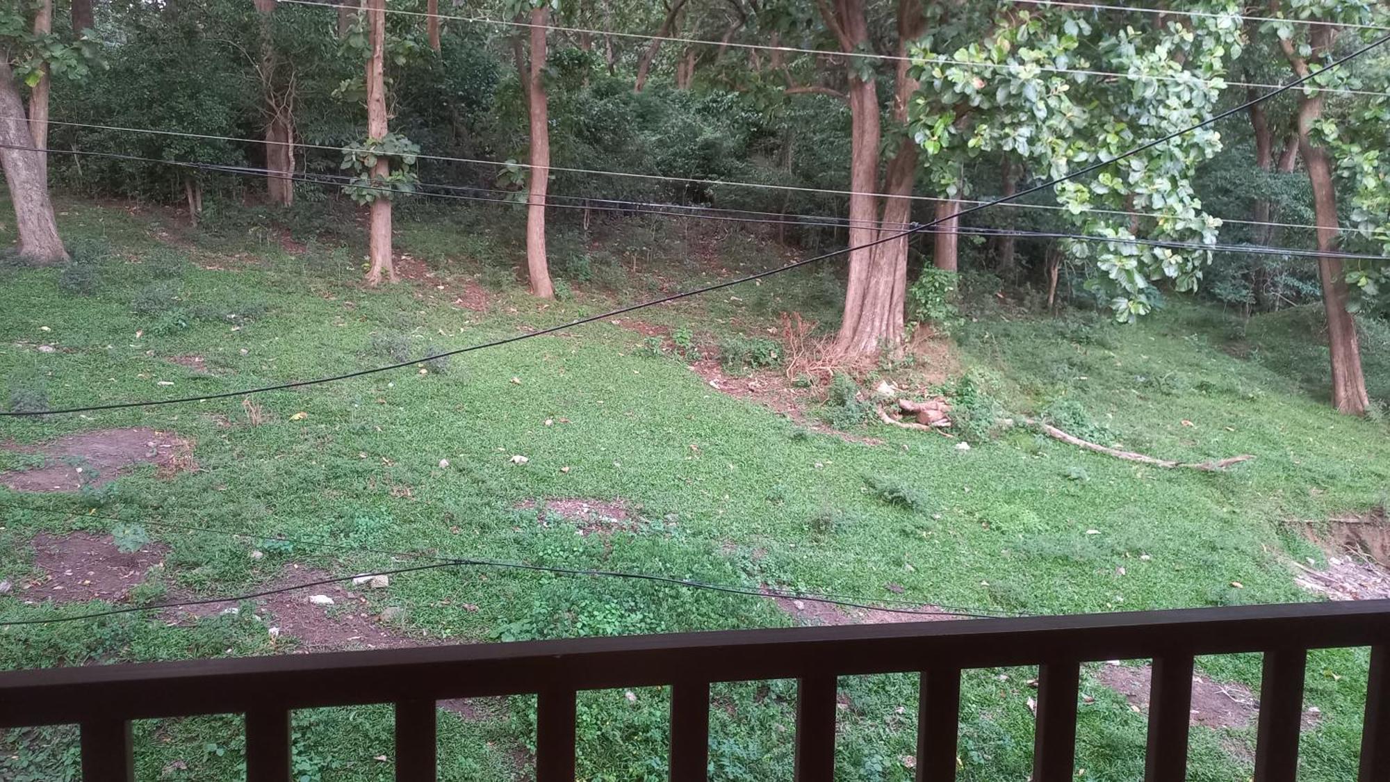 Wild Window - Forest View Homestay Thekkady Exterior photo