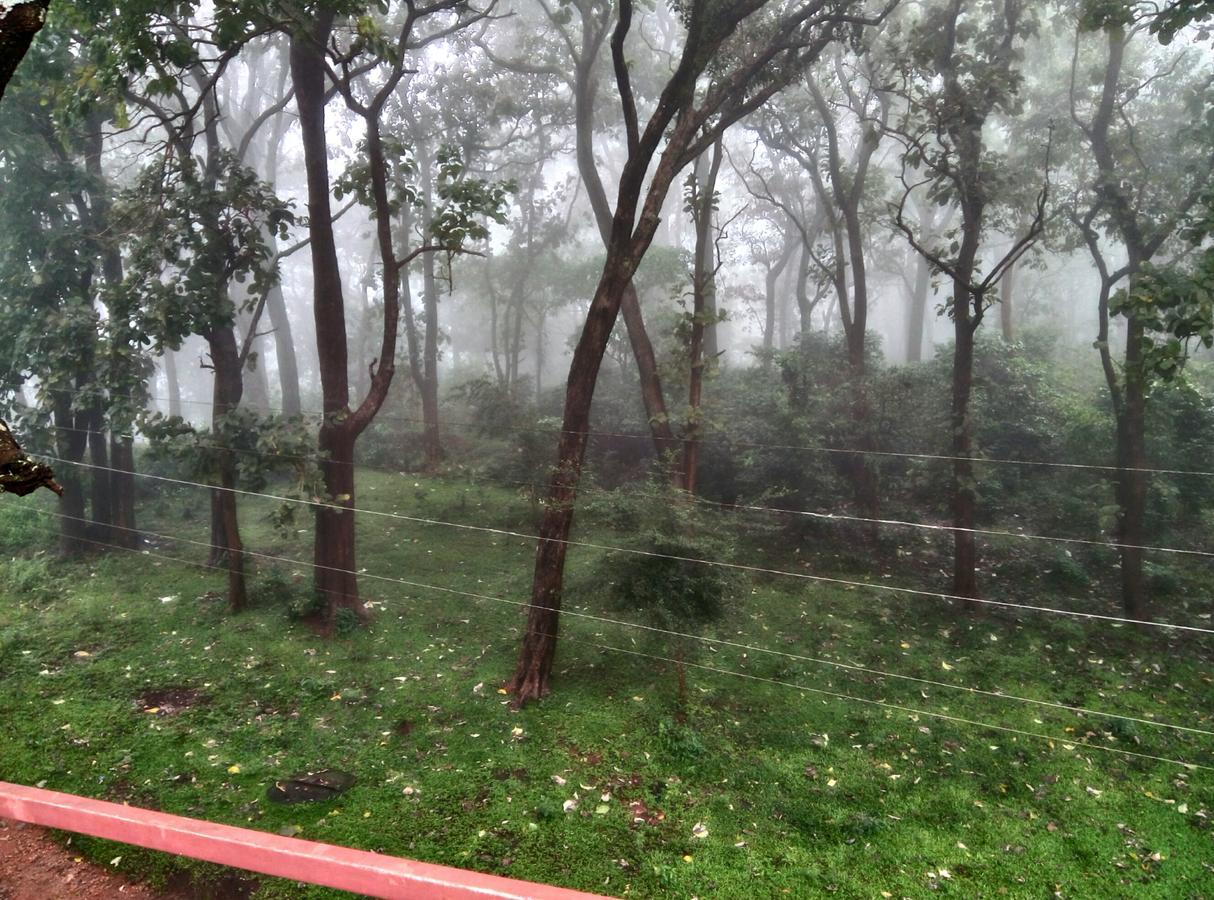 Wild Window - Forest View Homestay Thekkady Exterior photo
