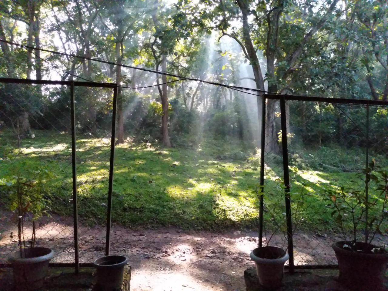 Wild Window - Forest View Homestay Thekkady Exterior photo