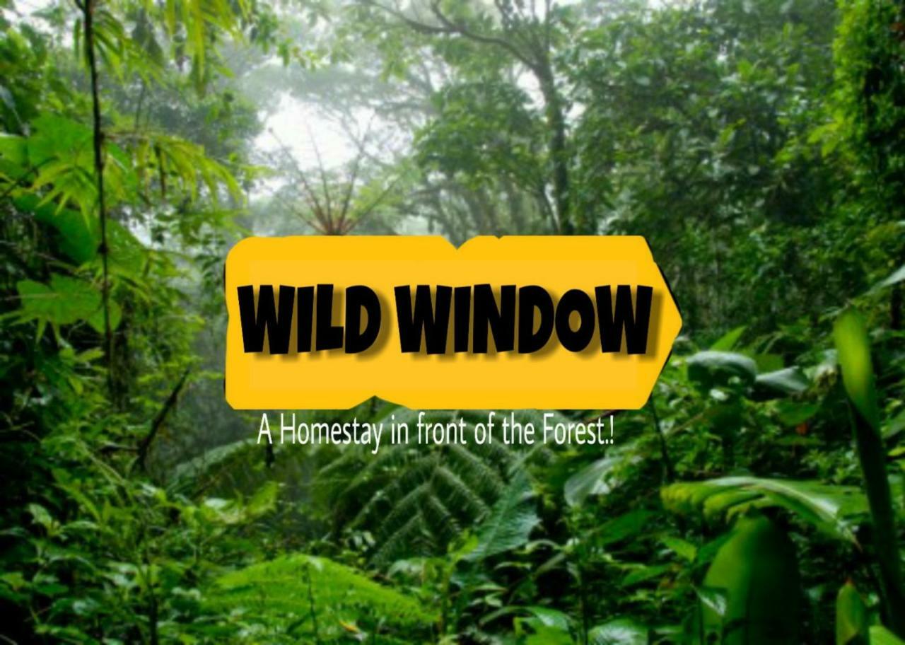 Wild Window - Forest View Homestay Thekkady Exterior photo