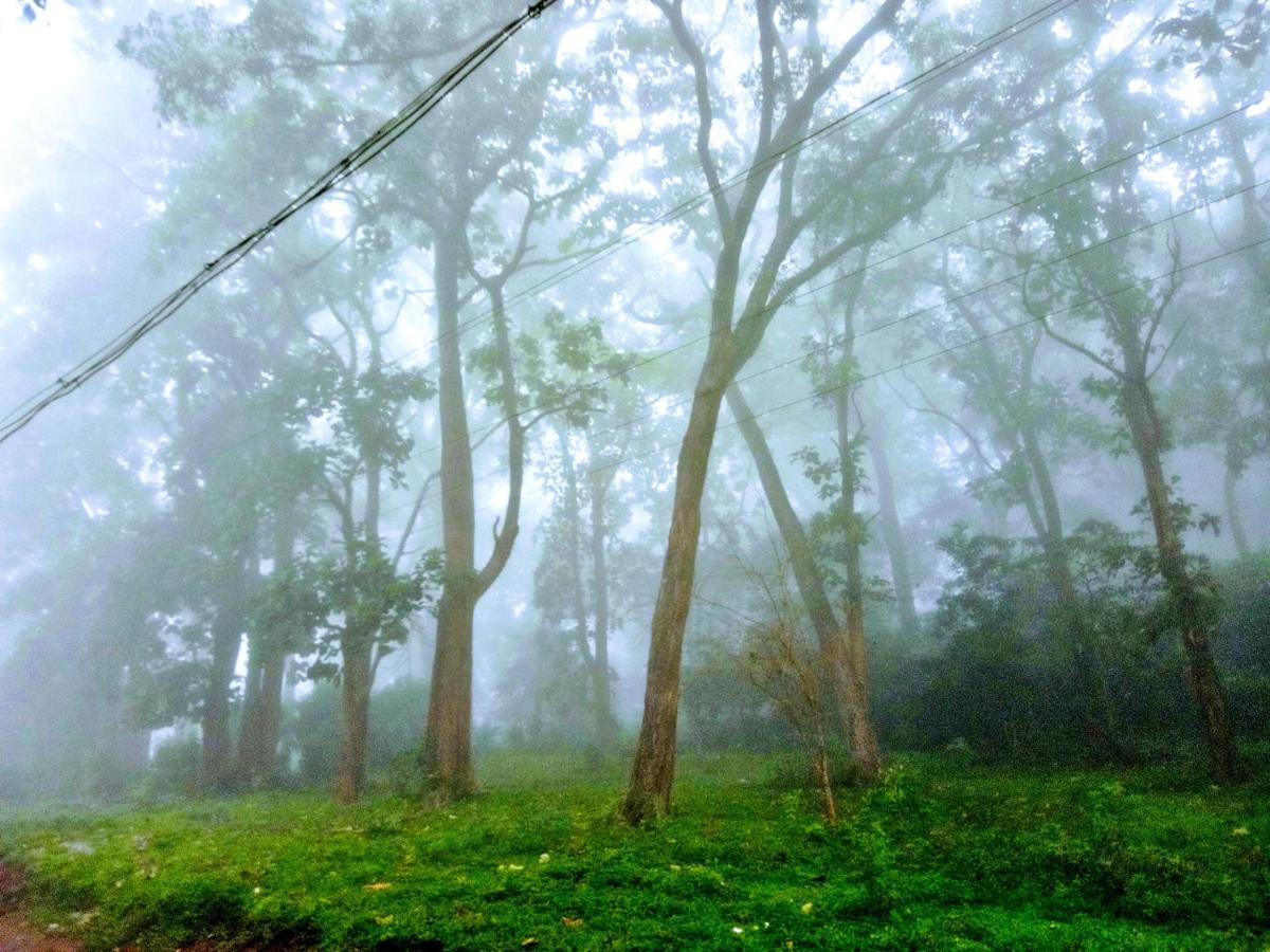 Wild Window - Forest View Homestay Thekkady Exterior photo